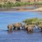 River crossing - Südafrika