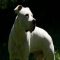 Chris_0710